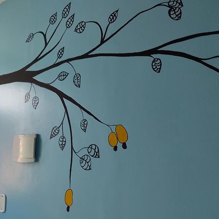 Solar Hostel Parnaíba 外观 照片